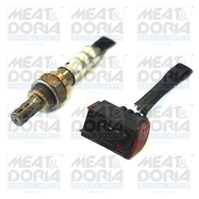 Oxygen Sensor